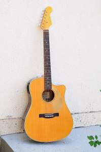 acoustic guitar